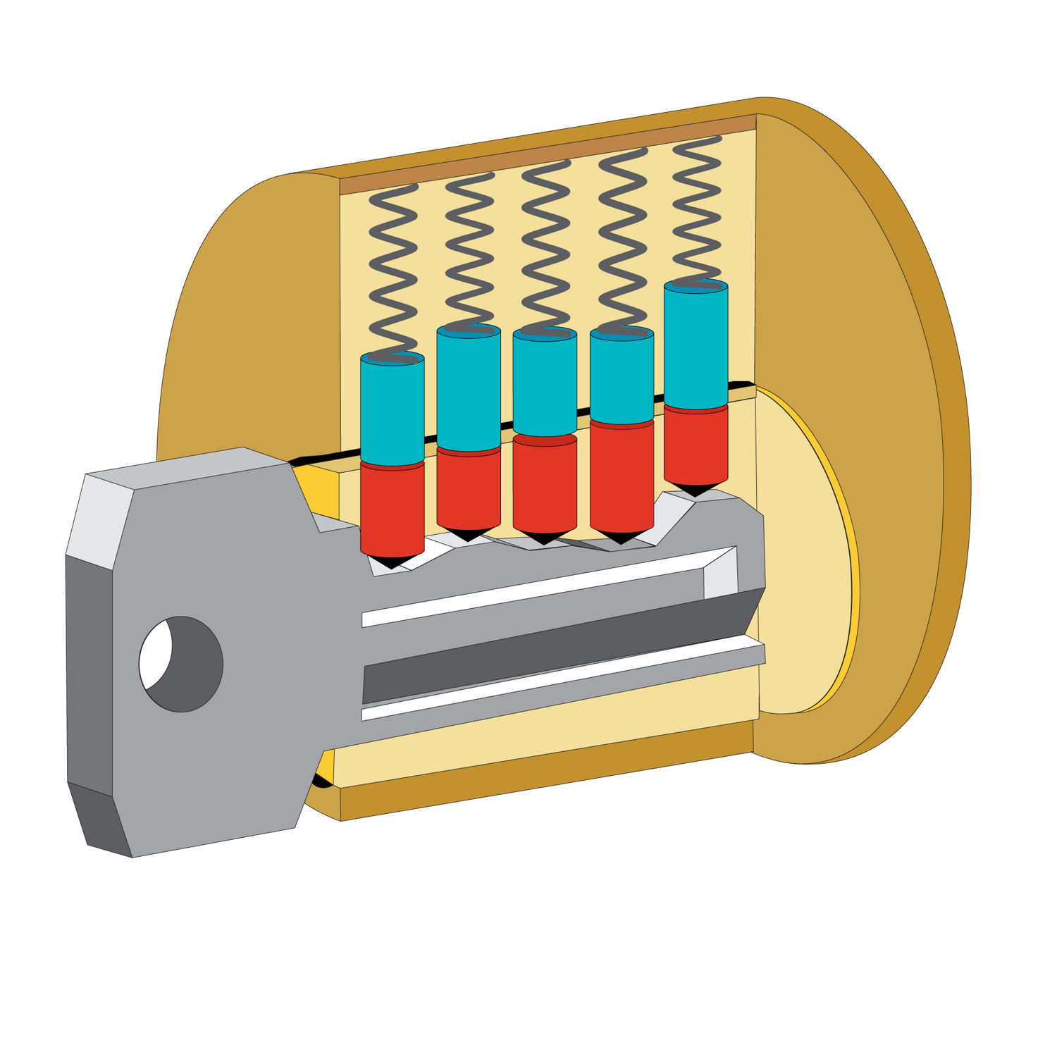 Understanding the Anatomy of Different Lock Types – SouthOrd